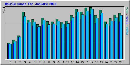 Hourly usage for January 2016