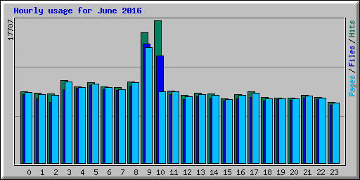 Hourly usage for June 2016